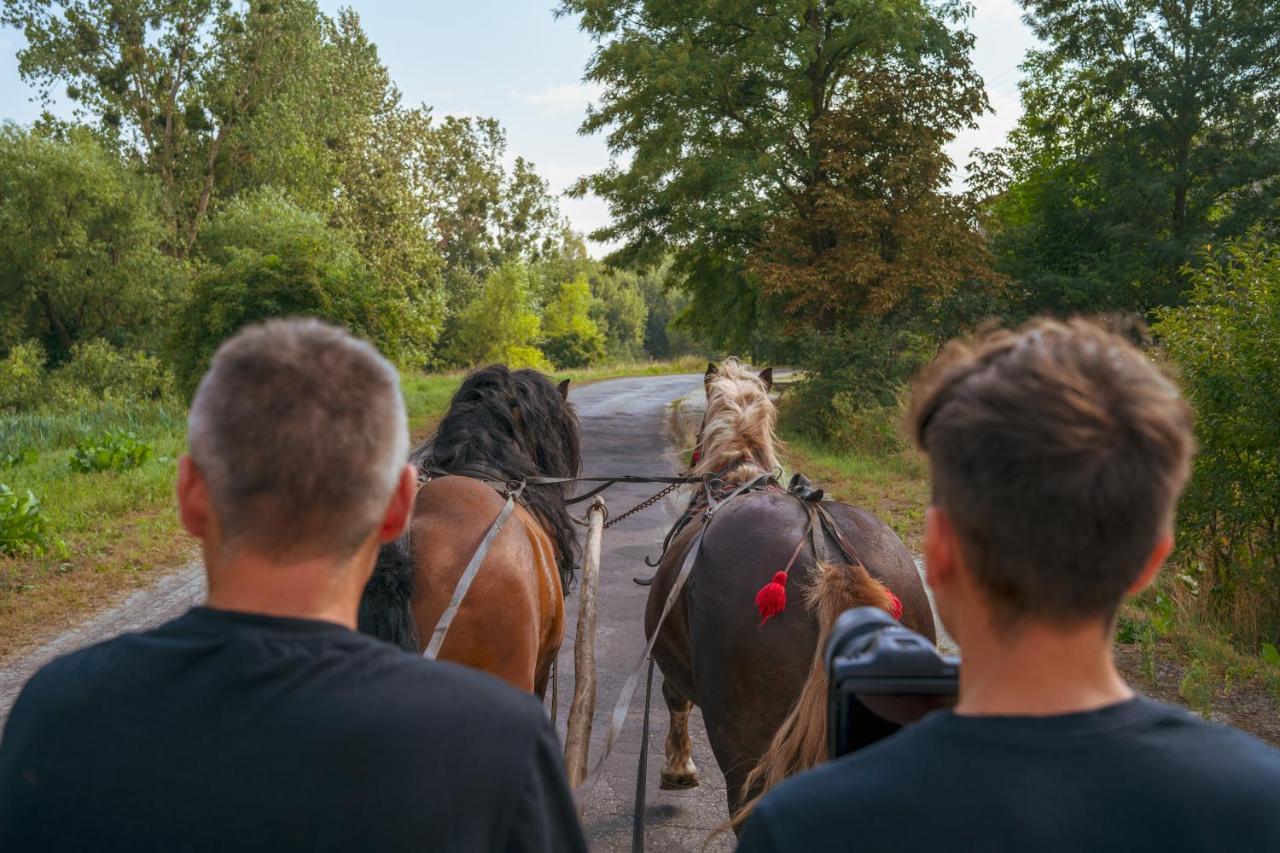 Arche Siedlisko Typin 140 Lejlighed Tomaszów Lubelski Eksteriør billede